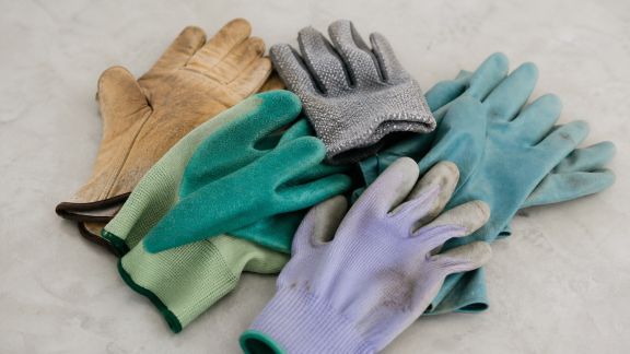 Quels gants de jardinage choisir pour protéger efficacement vos mains