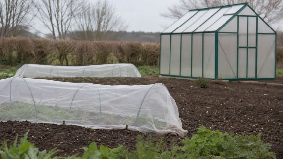 Petites serres et mini-tunnels : quels équipements pour bien les installer