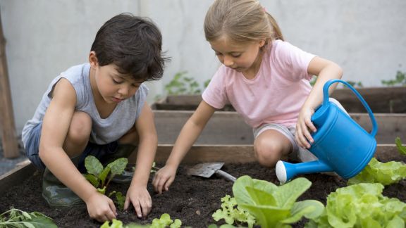 Planter au potager avec des enfants : activités ludiques et éducatives