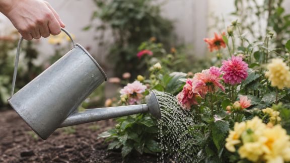 Les secrets d’un arrosage efficace pour des fleurs resplendissantes