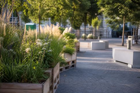 Jardins éphémères : une tendance événementielle qui séduit les villes françaises