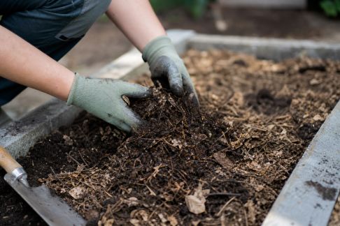 Potager sans labour : avantages et mise en place pas à pas