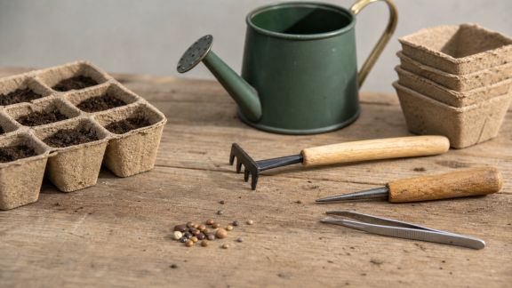 Outils de précision : zoom sur les indispensables pour les semis