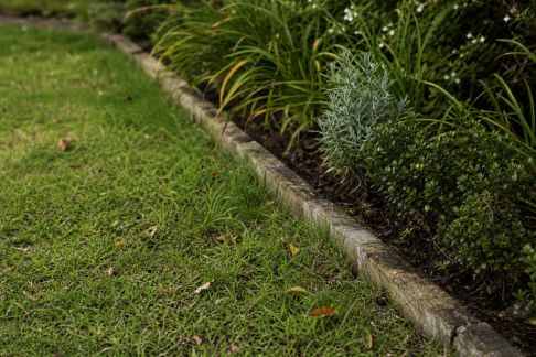 Entretenir les bordures et délimitations du jardin au fil de l’année