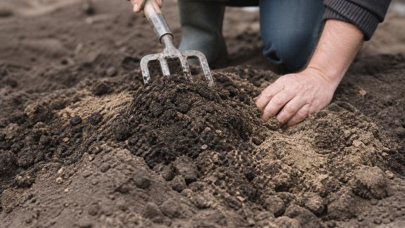 Sol argileux : techniques pour le rendre plus facile à cultiver