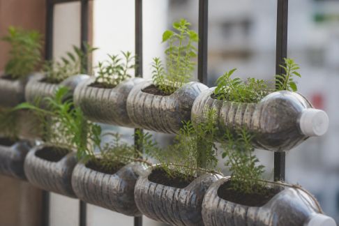 Fabriquer une jardinière en bouteilles plastiques recyclées pour le balcon