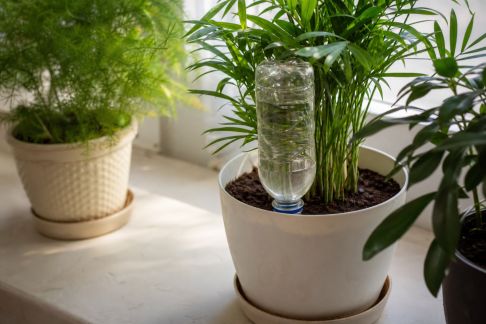 Arrosage en vacances : solutions simples pour ne rien laisser sécher