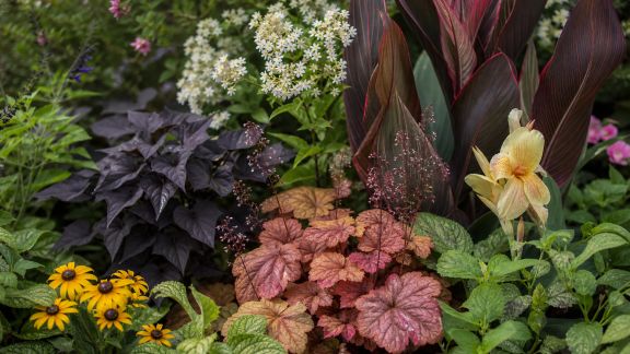 Astuces pour associer couleurs et textures végétales dans vos massifs fleuris