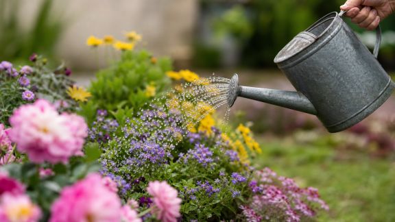 Arrosage des massifs fleuris : conseils pour une floraison durable