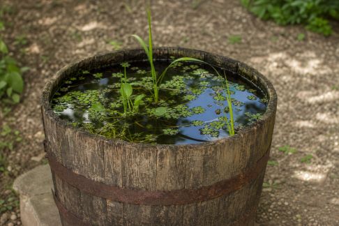 Transformer un vieux tonneau en point d'eau décoratif pour le jardin