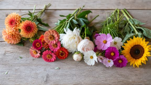 Fleurs à couper : sélection de variétés pour vos bouquets maison