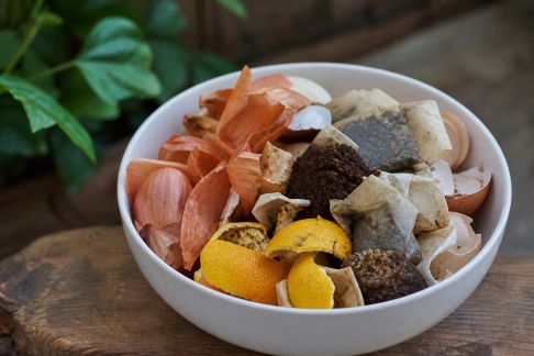 Compost maison : cinq ingrédients surprenants à ajouter ou éviter