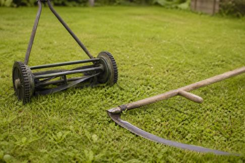 Quelles alternatives écologiques aux outils motorisés pour tondre la pelouse