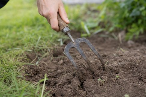 Sol tassé : méthodes efficaces pour l’aérer sans trop d’efforts
