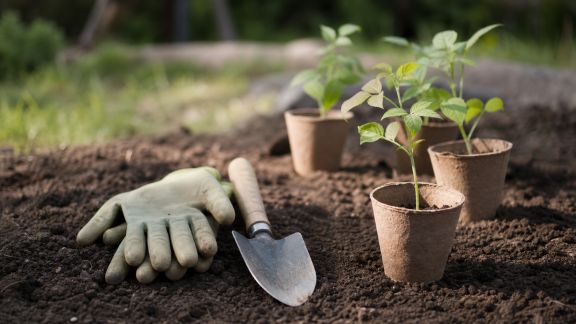 Comment adapter ses plantations en cas de printemps précoce ou tardif