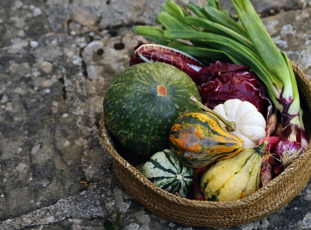 Récolte des légumes d'automne : le guide complet pour bien préparer vos conserves