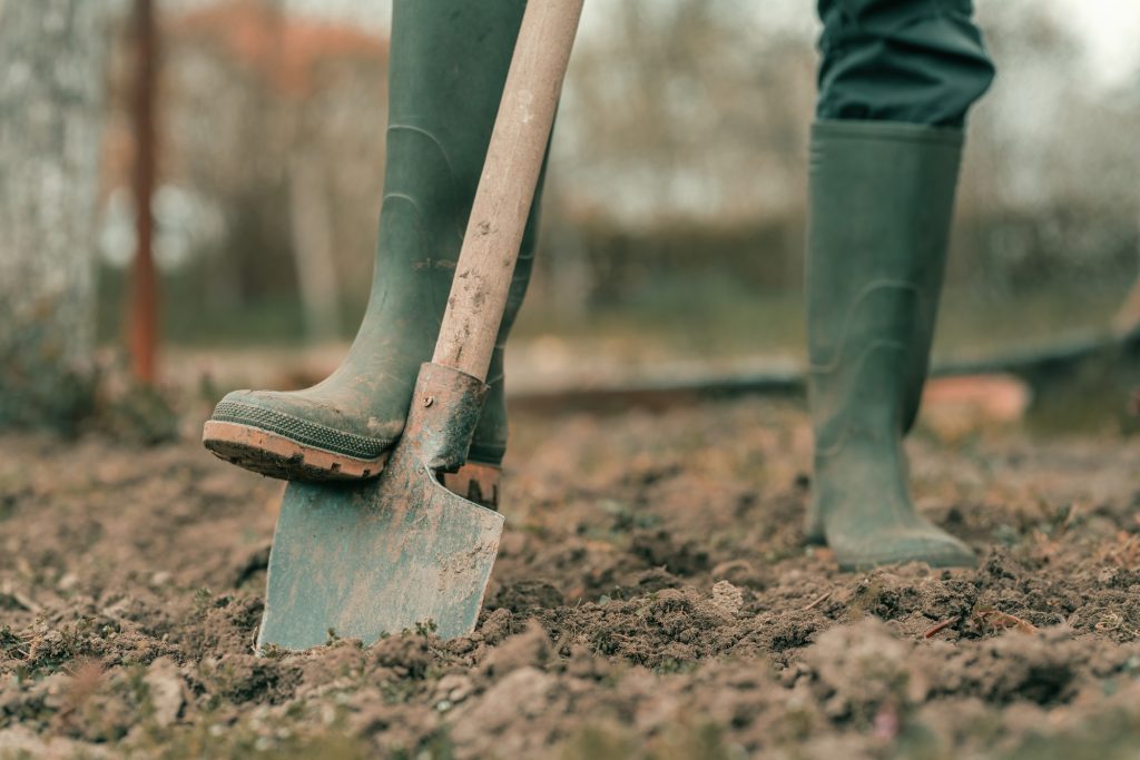 La bêche : l'outil indispensable du jardinier pour retourner et aérer la terre