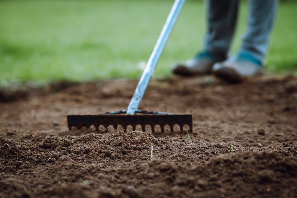 Le râteau : l'outil indispensable pour un jardin impeccable