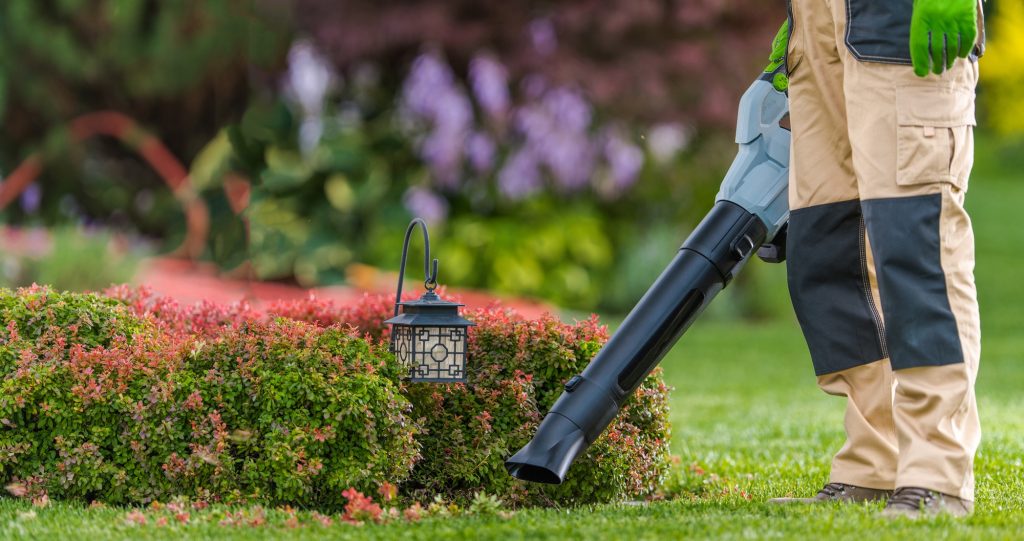 Aspirateurs et souffleurs de jardin : les meilleurs alliés pour un extérieur impeccable