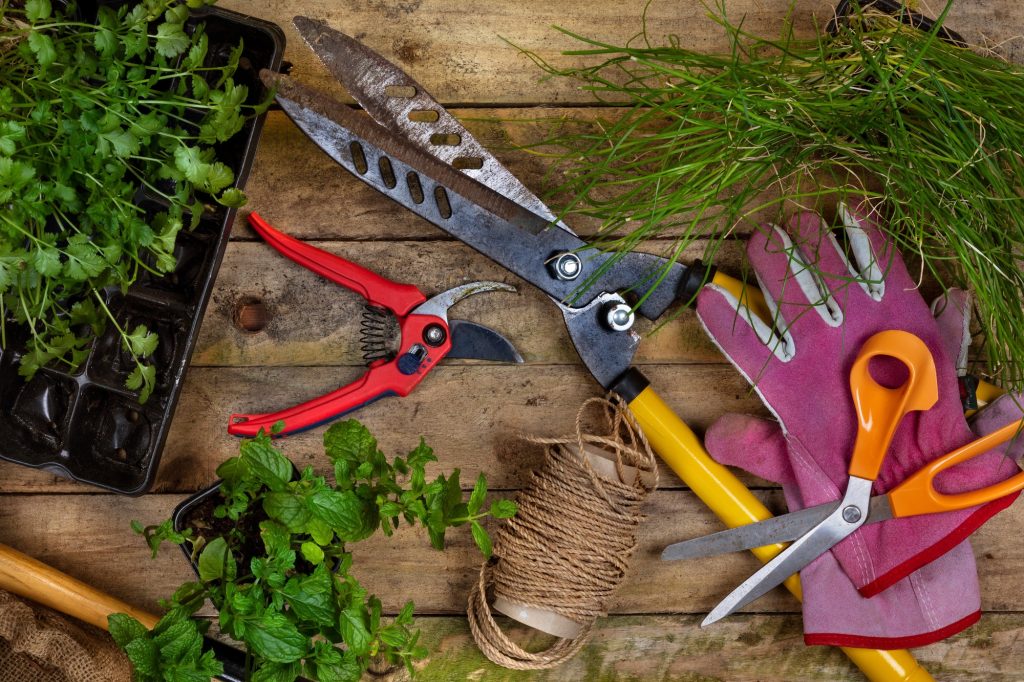 Comment entretenir ses outils de jardinage en hiver : guide pratique pour les jardiniers prévoyants