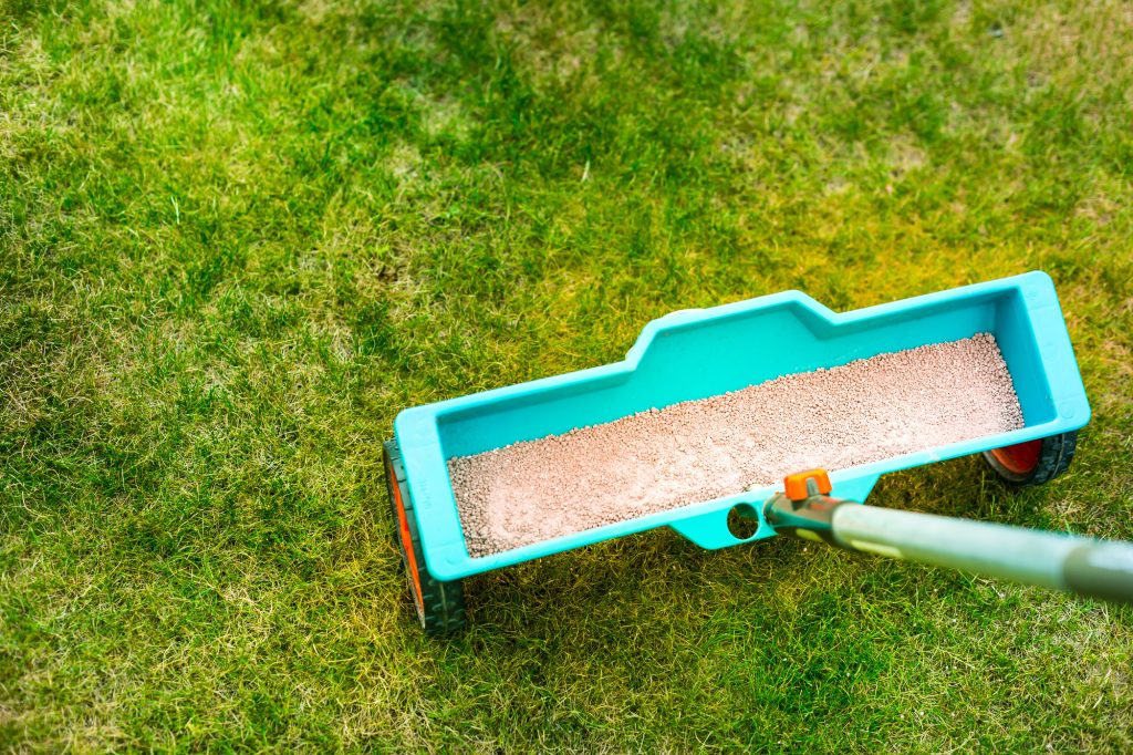 Fertiliser sa pelouse après l'hiver : le guide complet pour un gazon resplendissant