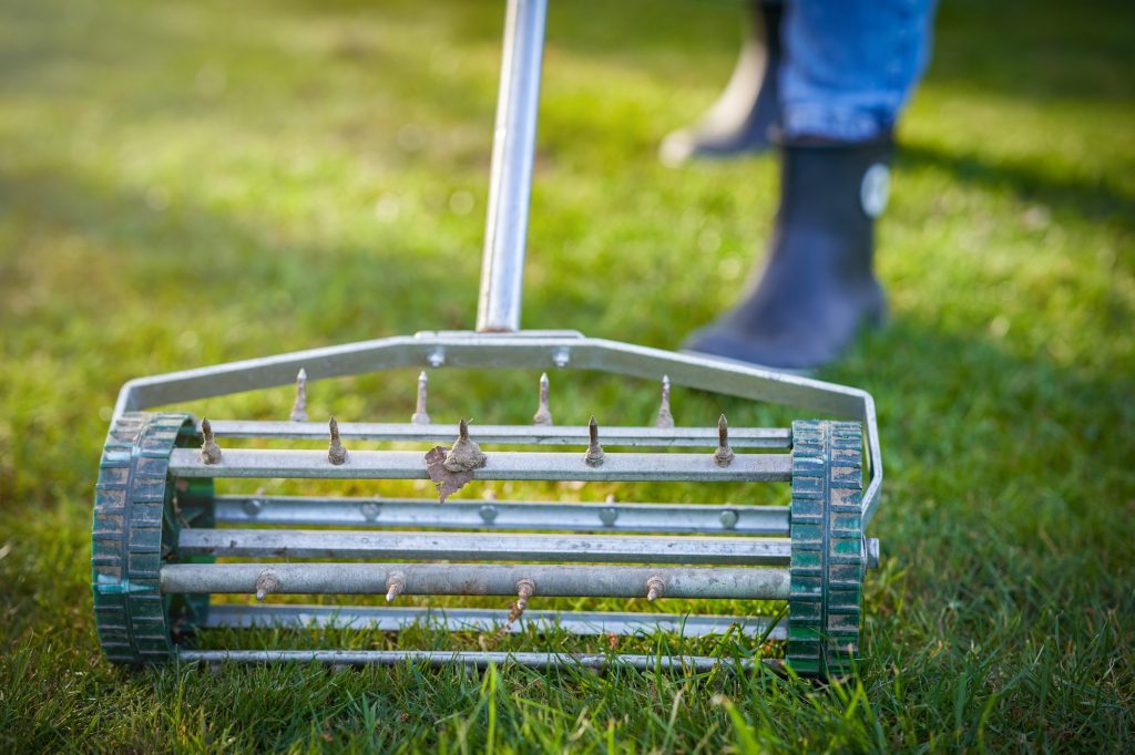 Scarificateur : l'outil indispensable pour une pelouse saine et sans mousse