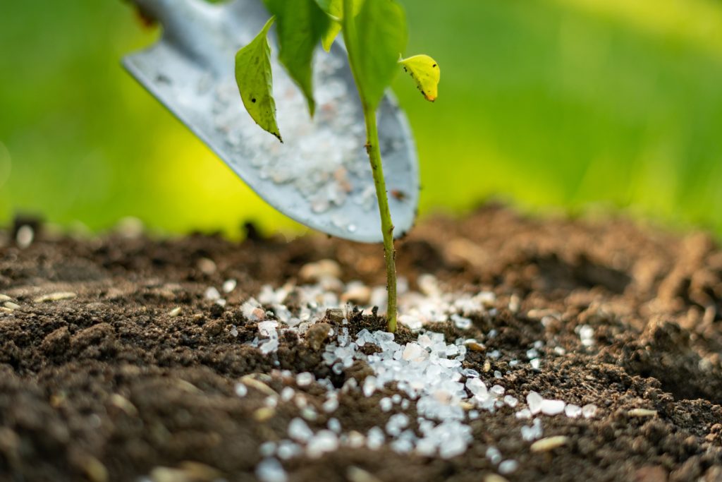Comment réparer les dégâts de l'hiver sur vos plantes et votre pelouse : guide pratique