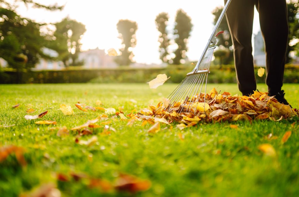 Préparer son jardin pour l'hiver : les tâches incontournables pour un printemps réussi