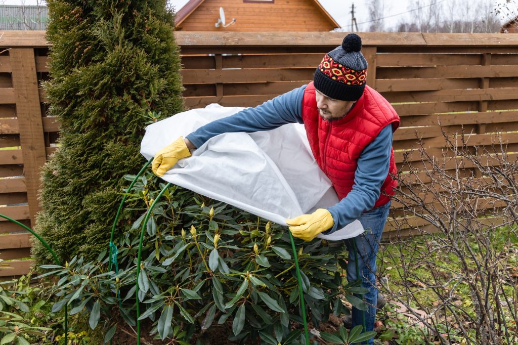 Protéger vos plantes du gel : astuces et techniques pour les garder au chaud