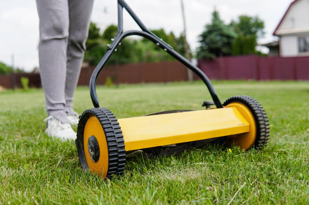 Tondeuse à main pour jardin : l'outil écolo qui fait revivre nos pelouses