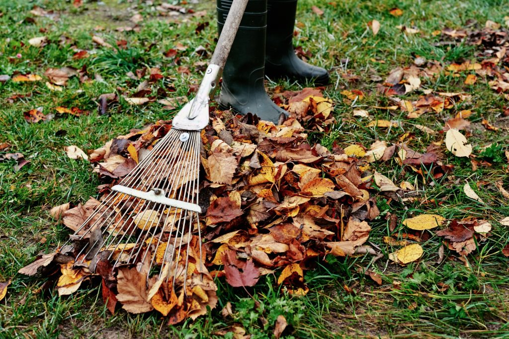 Comment ratisser et ramasser les feuilles mortes comme un pro : astuces et techniques efficaces